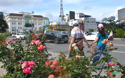 View - 	Thành phố Đà Lạt-thành phố tình yêu